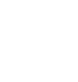 IDM